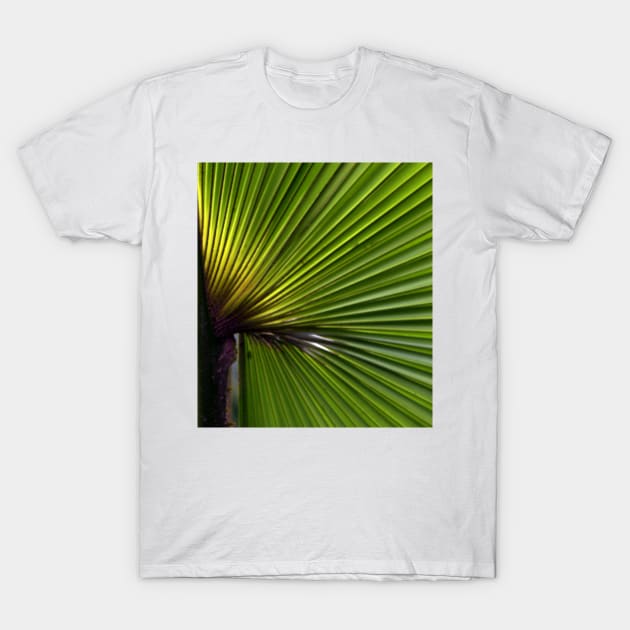 Tropical Palm Leaf T-Shirt by oknoki